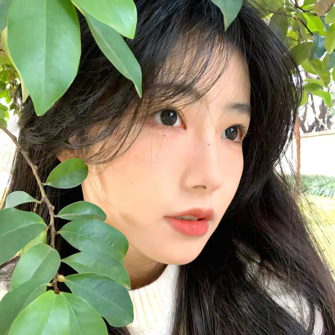 加沙，我的爱